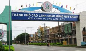 Transfer Ho Chi Minh City to Cao Lanh Dong Thap