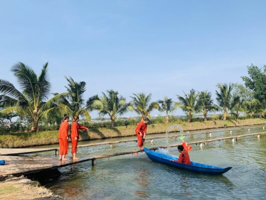Car Rental Ho Chi Minh City to Mekong Delta Tour